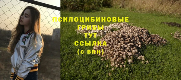 стафф Сосновка
