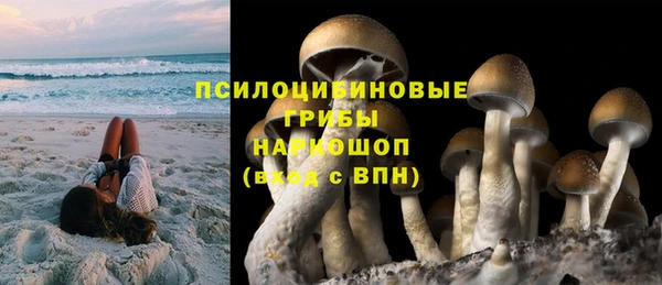 стафф Сосновка