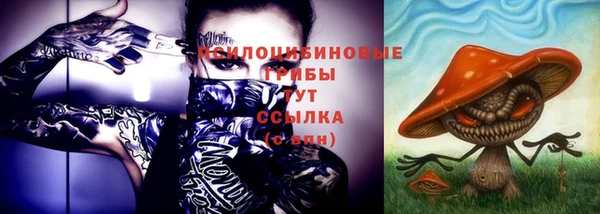 экстази Бородино