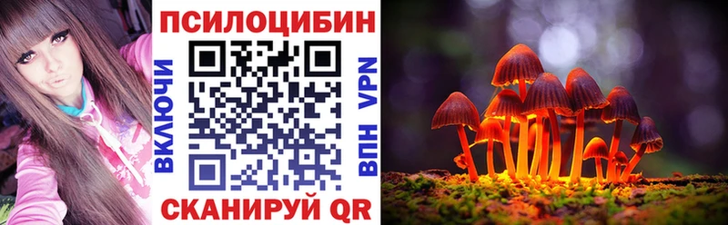 Псилоцибиновые грибы Psilocybine cubensis  Кондрово 